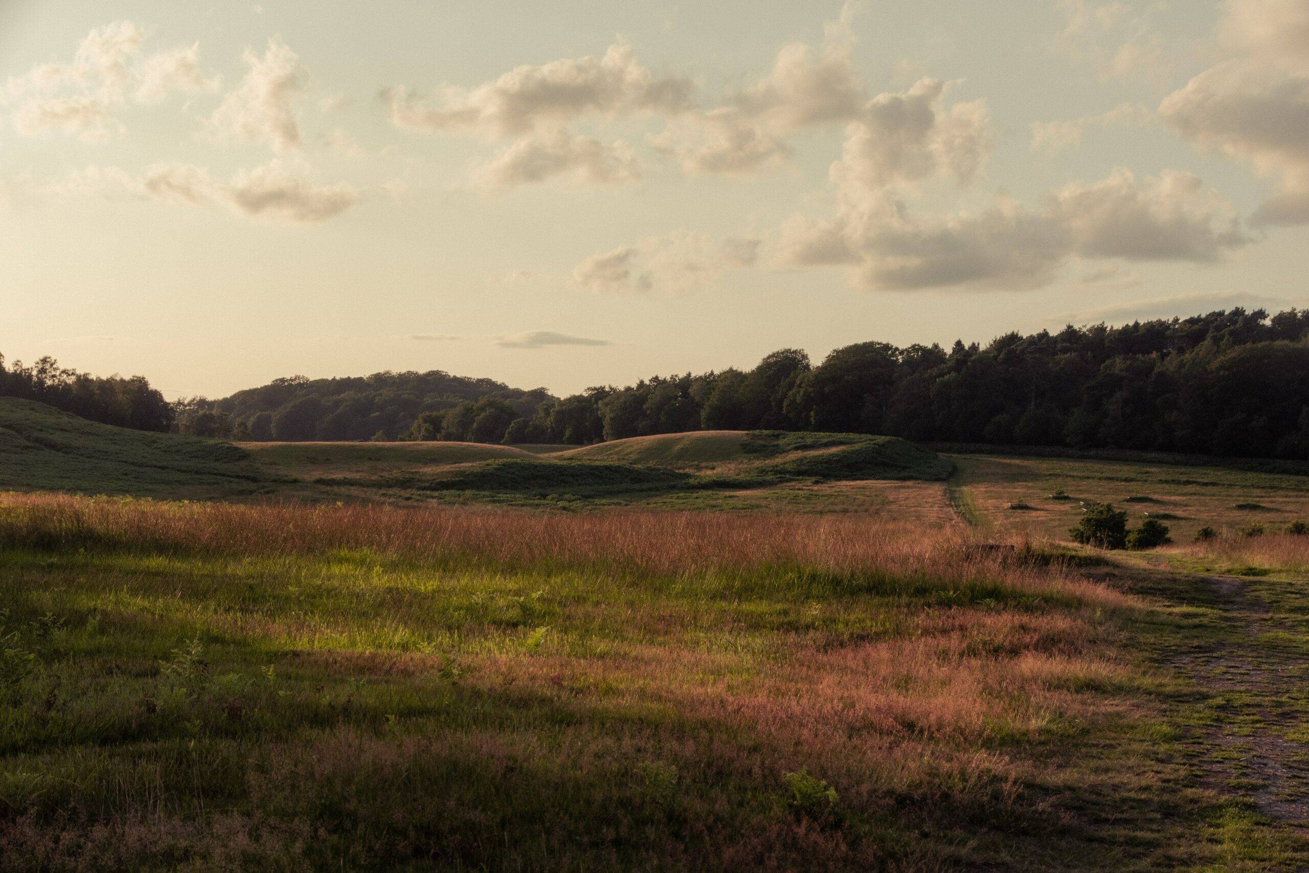 Leicester-hero-scaled-1